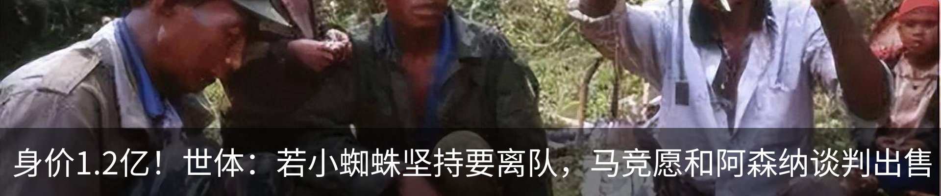 最新动态