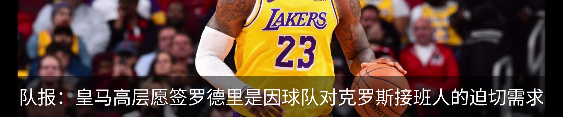 最新动态