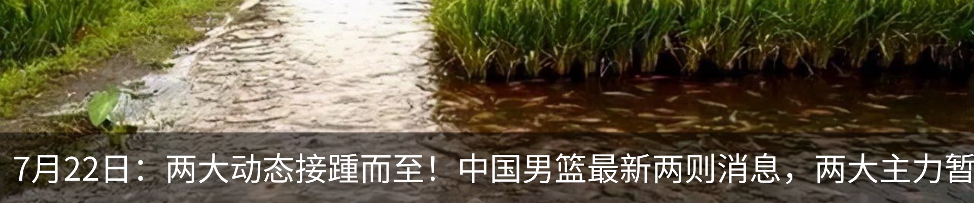 最新动态